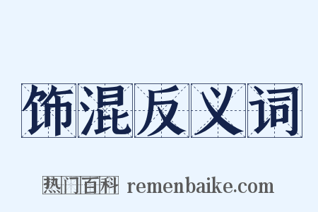 饰混反义词是什么意思的图片